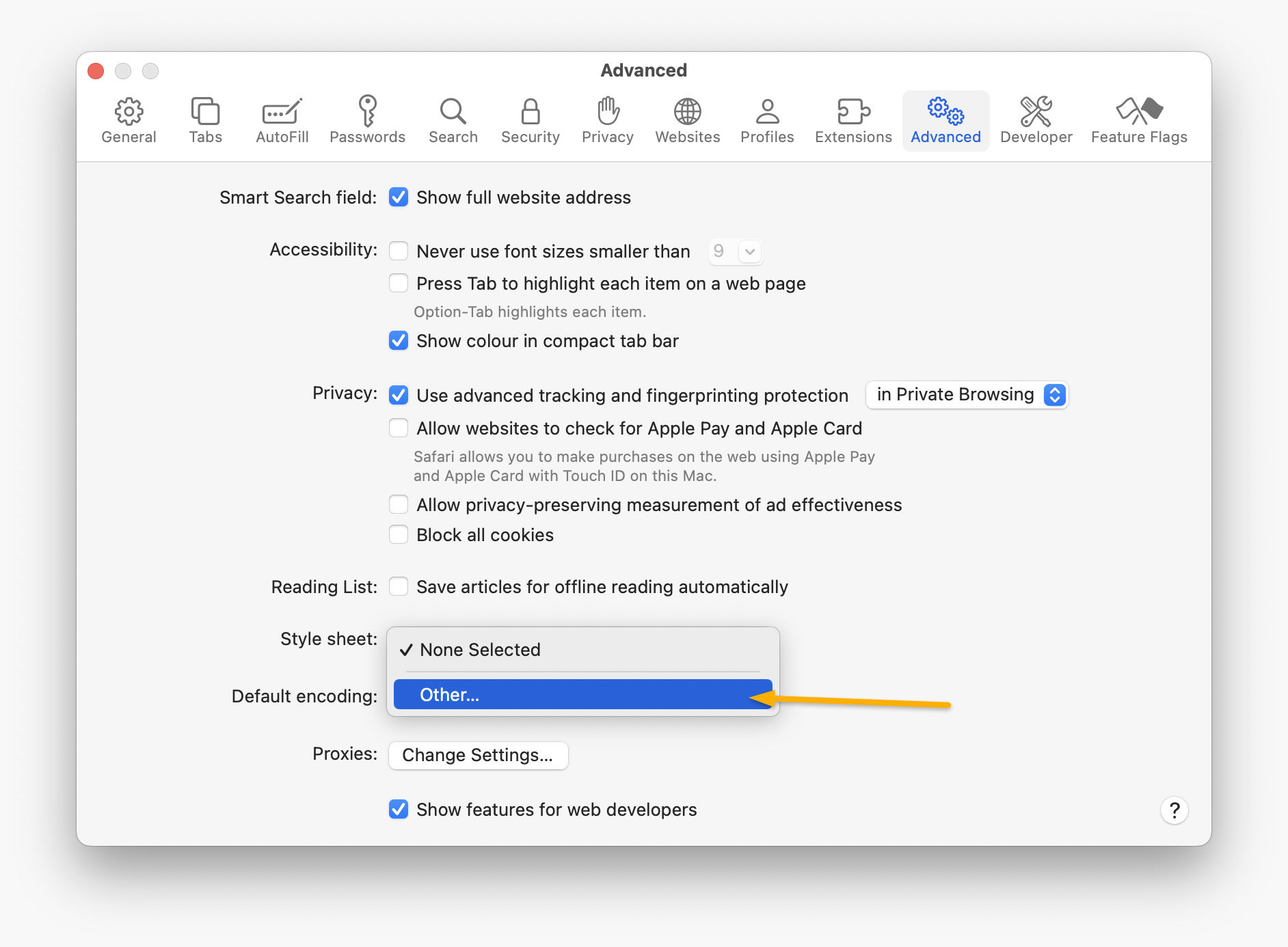 Safari Preferences, Advanced tab