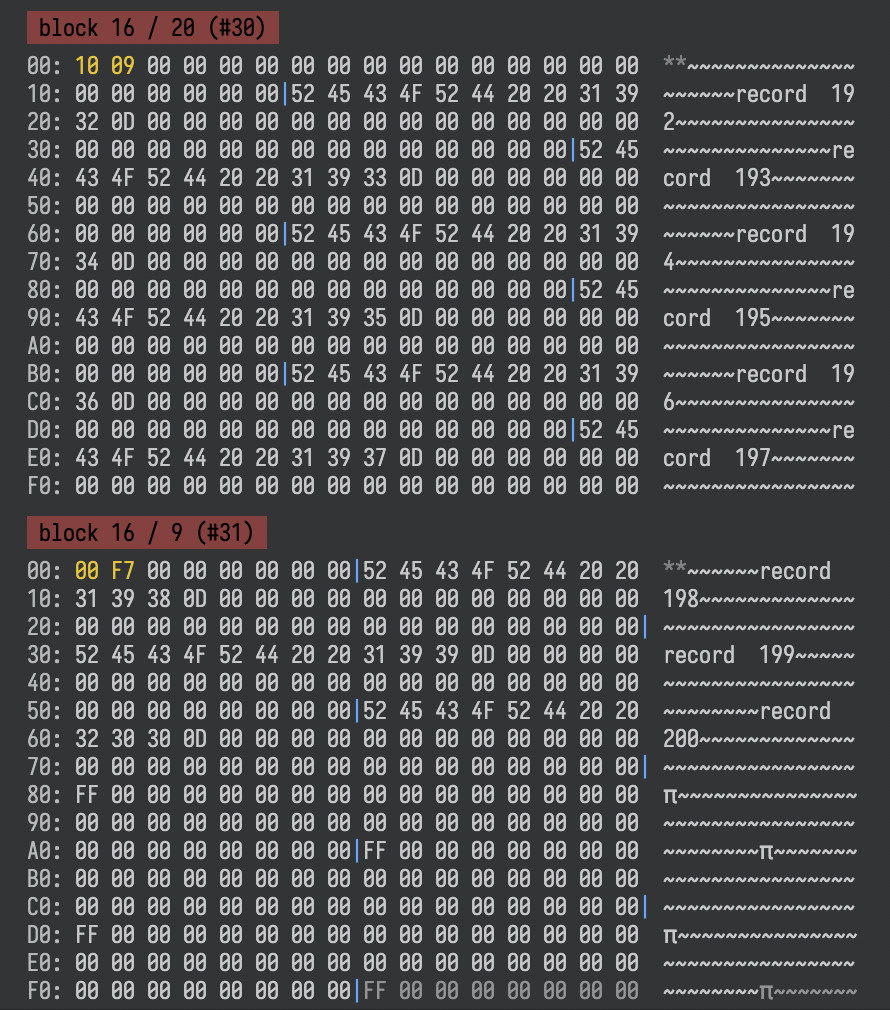 The end of the data fork of a REL-file on a Commodore disk image.