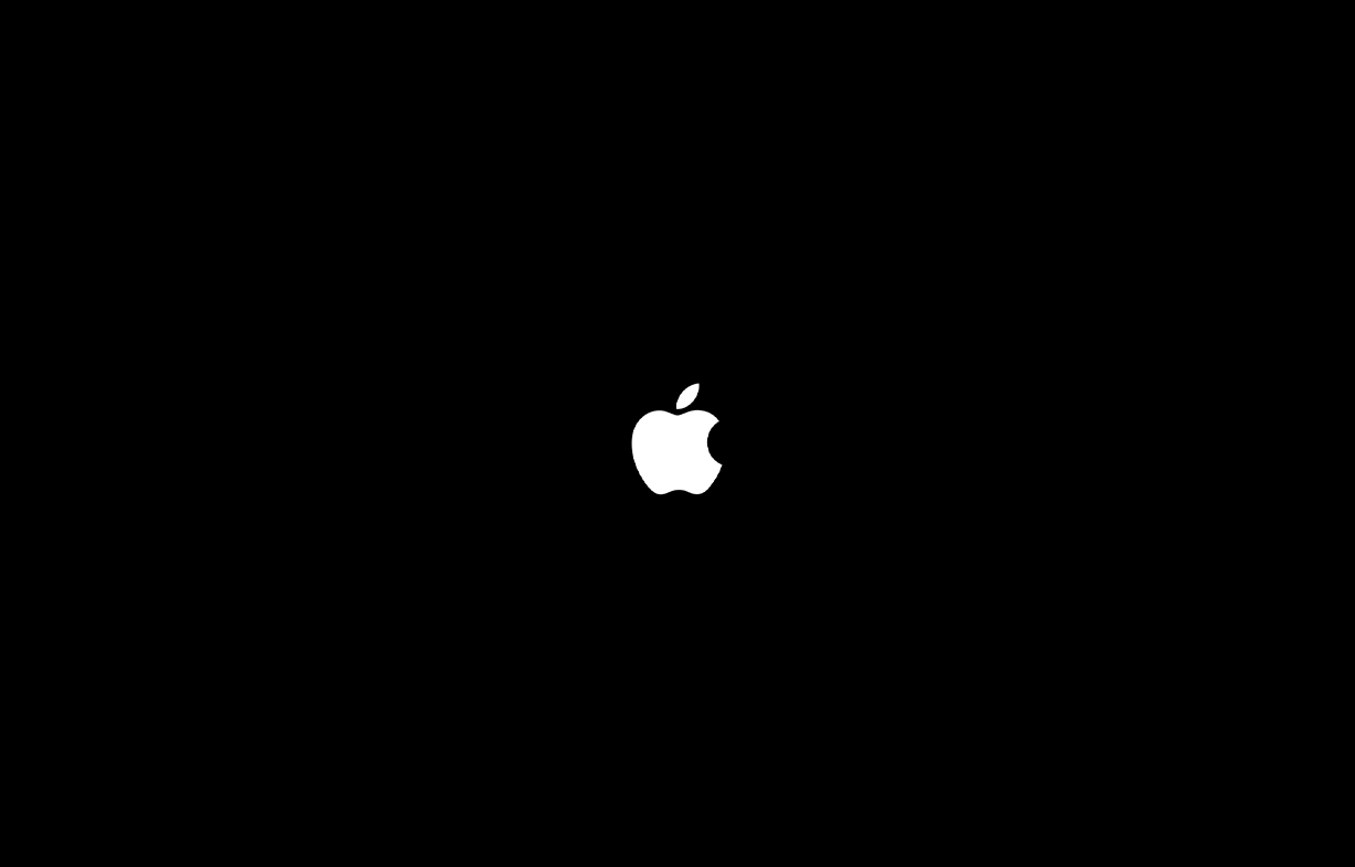 System update stage 1: black screen and Apple logo