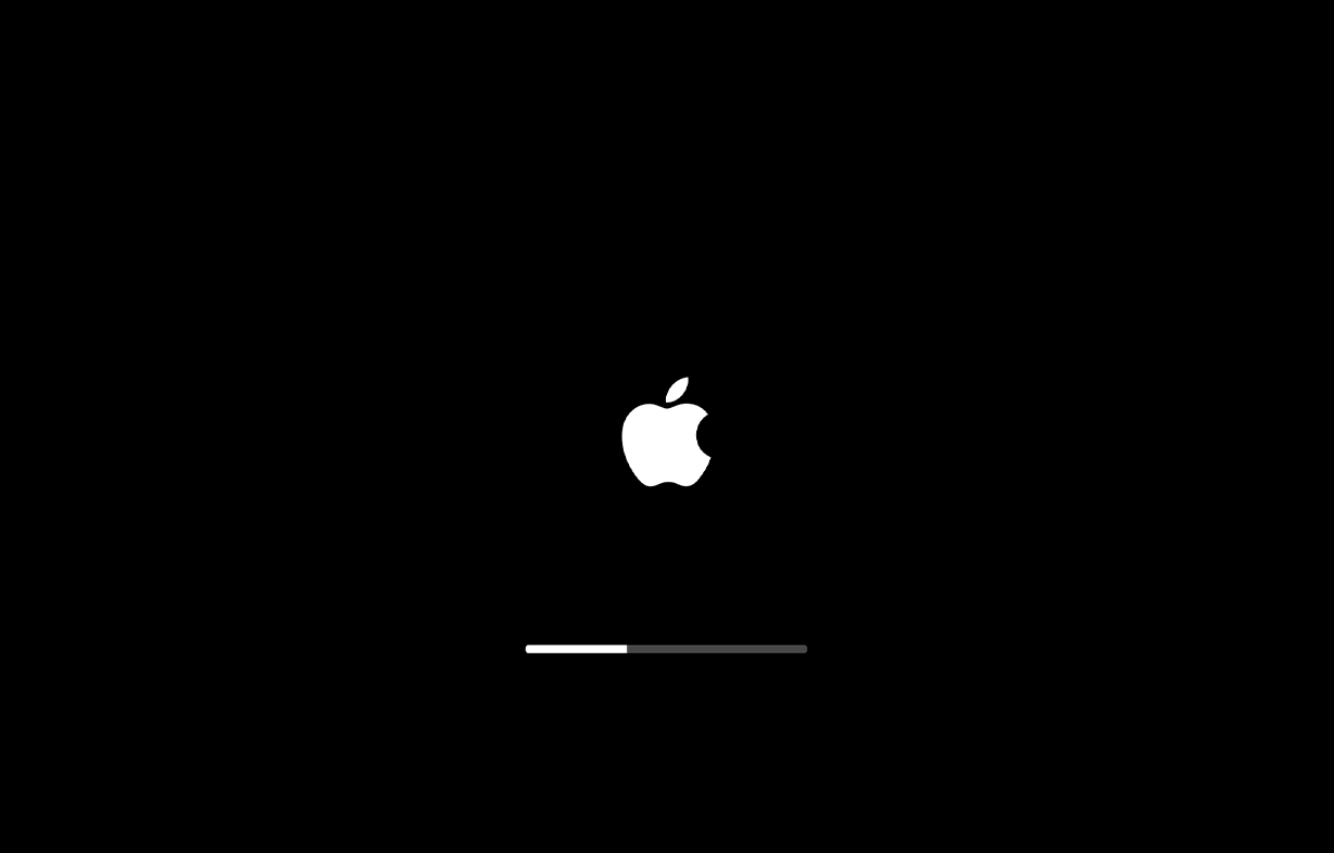 System update stage 1: black screen with Apple logo and tiny progress bar showing progress